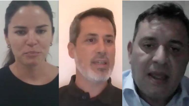 Experiencias legislativas y vínculo con la comunidad: referentes de distintas provincias compartieron una masterclass de la Fundación ICES