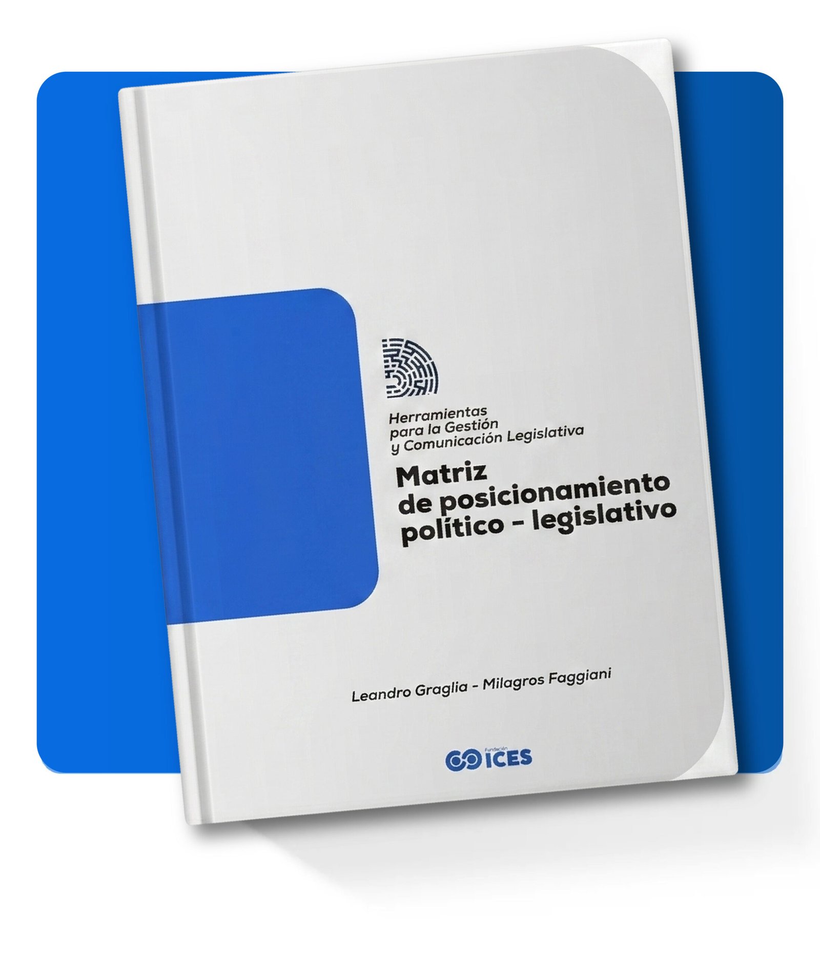 mockup matriz de posicionamiento politico-legislativo-05-05.jpg